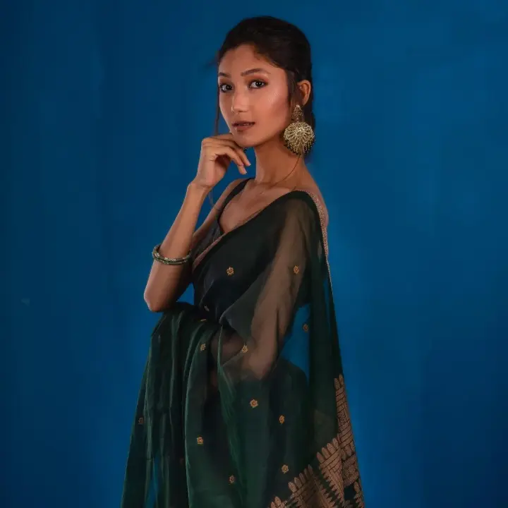 LOLITA Saree